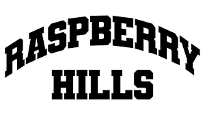 https://raspberryhills.io/